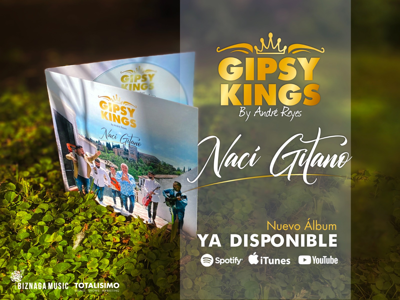 Gipsy Kings by Andre Reyes - naci Gitano